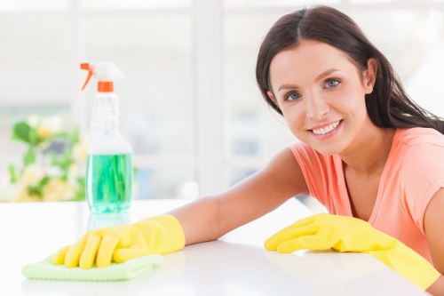 Professional carpet cleaning in a Surrey family home
