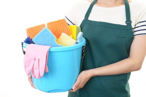 Oven cleaning accessibility commitment for Surrey users