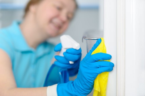 Hard floor cleaning service for Surrey homes and businesses