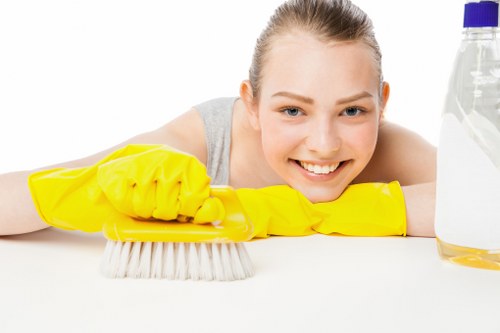 Domestic cleaning service checklist and preparation for Surrey customers