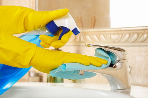 Professional carpet cleaning service for Surrey homes and businesses