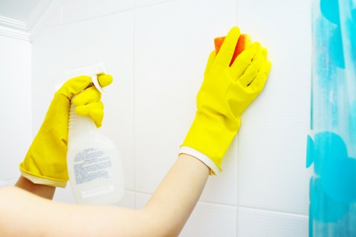 Regular housekeeping support in a Surrey bathroom and hallway