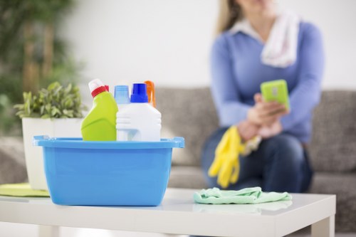 Example oven cleaning jobs for Surrey homes and rentals