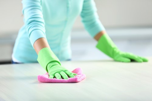 Professional home cleaning service across Surrey residential properties