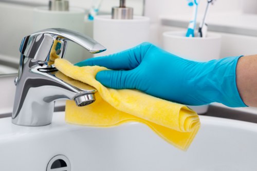 Deep cleaning details in a Surrey home kitchen and bathroom