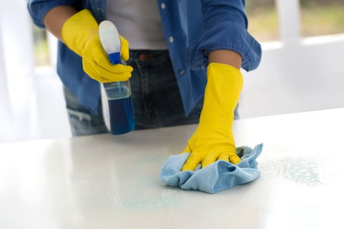 Cleaning products and tools prepared for oven maintenance